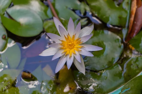 新城娱乐平台 内部环境